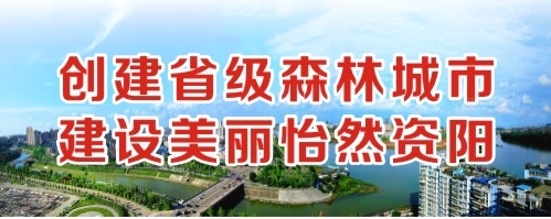 操鸡视频网站创建省级森林城市 建设美丽怡然资阳