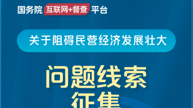 大黑鸡巴操骚逼视频免费看国务院“互联网+督查”平台公开征集阻碍民营经济发展壮大问题线索